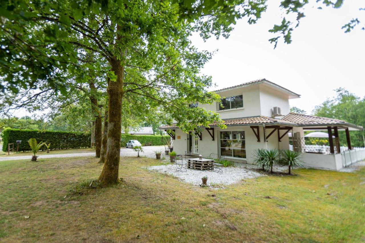 La Villa Minvia Les Landes Entre Mer Et Montagne Saint-Vincent-de-Paul  Zewnętrze zdjęcie